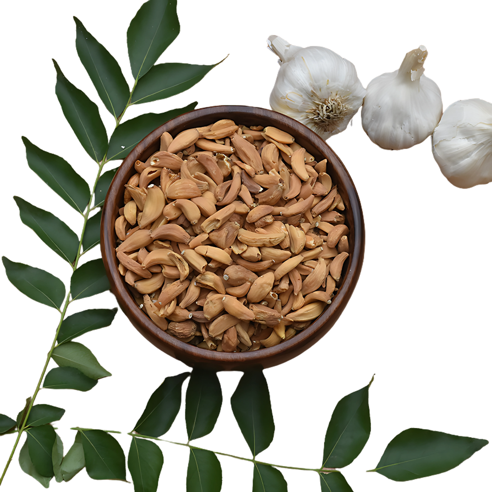 Garlic