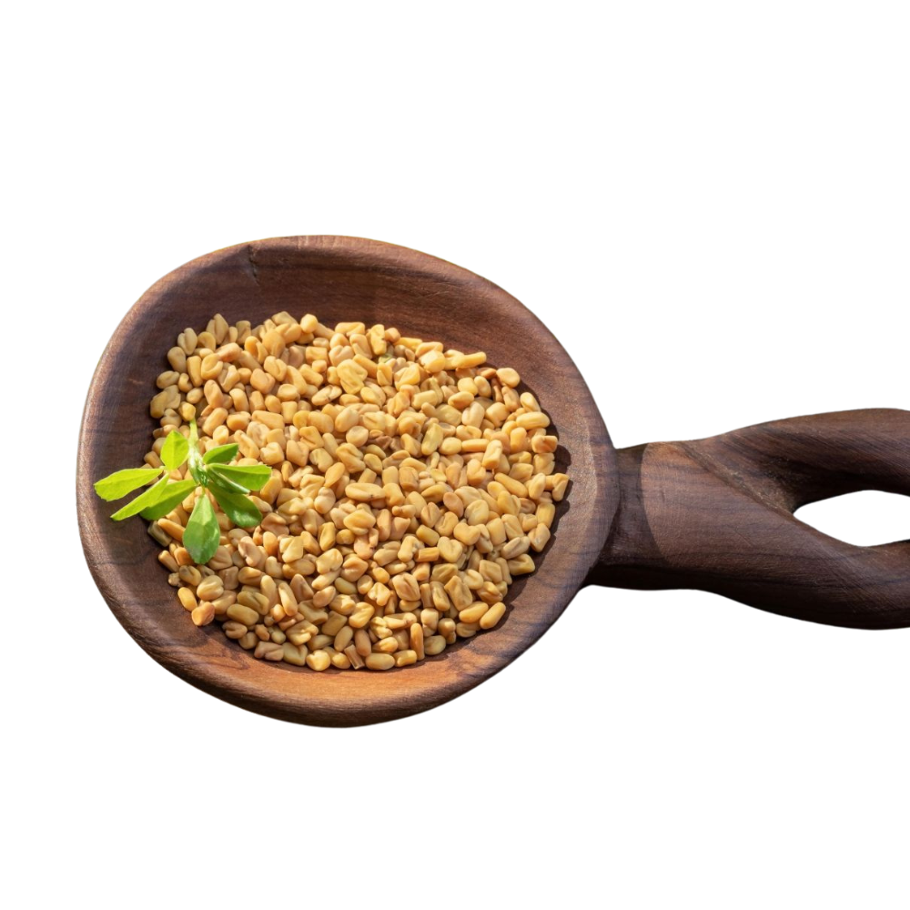 Fenugreek