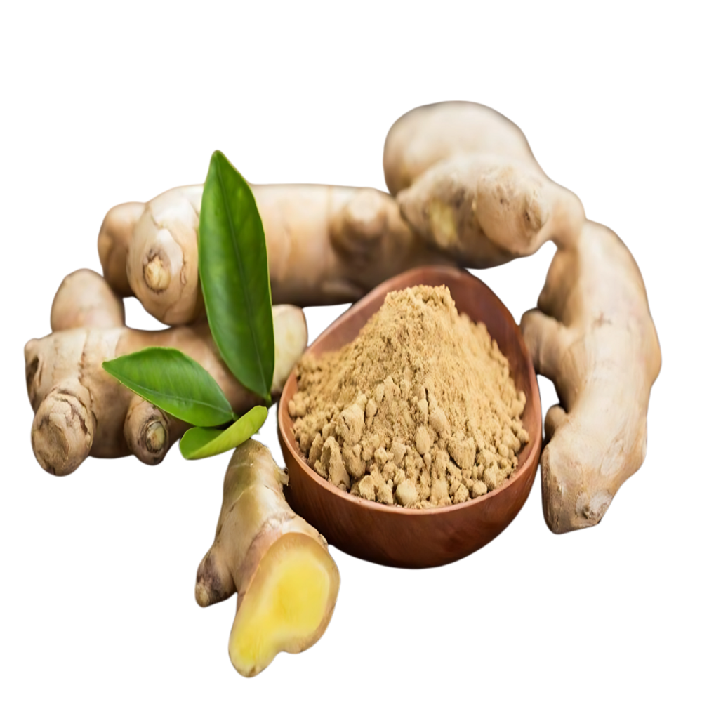 Ginger - Powder
