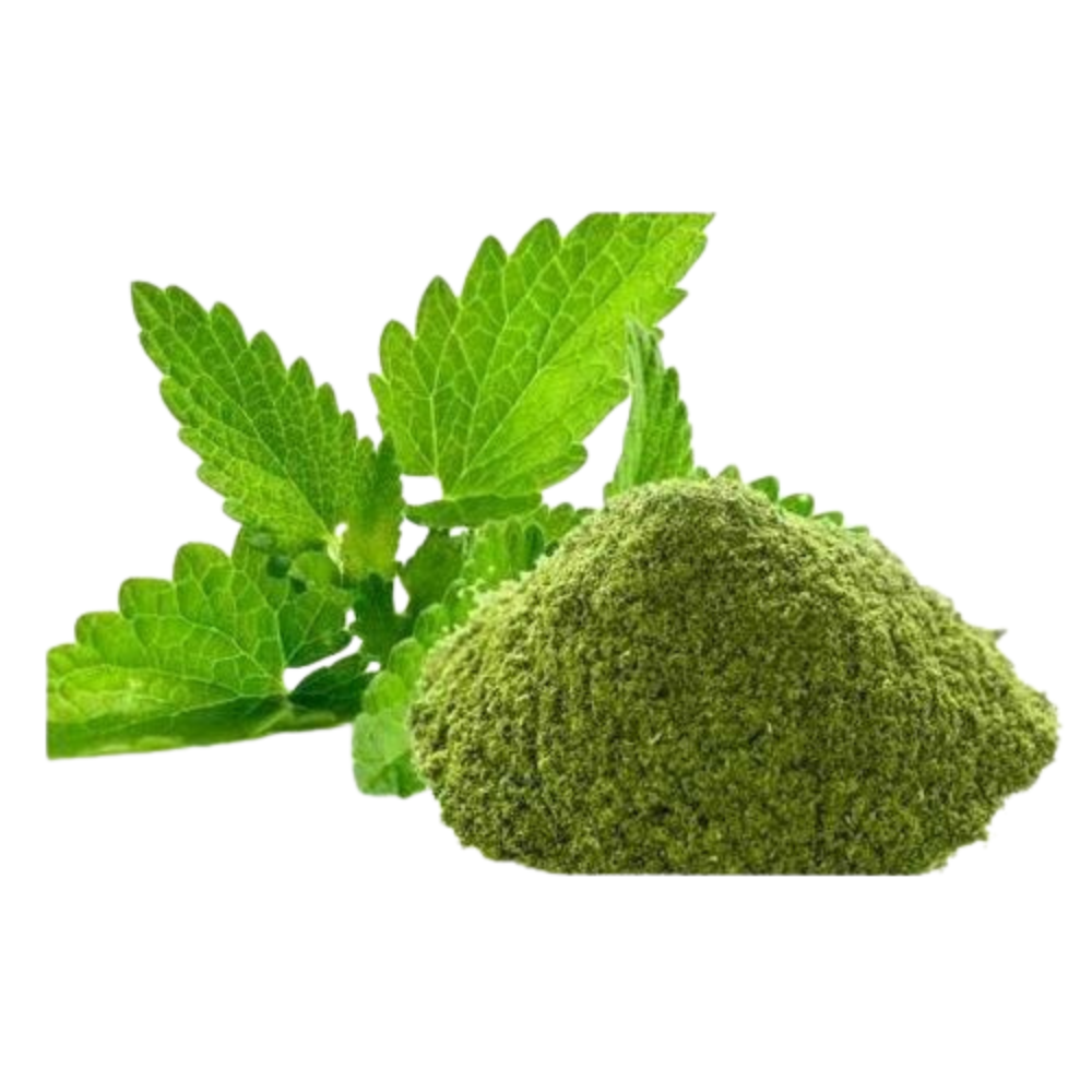 Mint - Leaves
