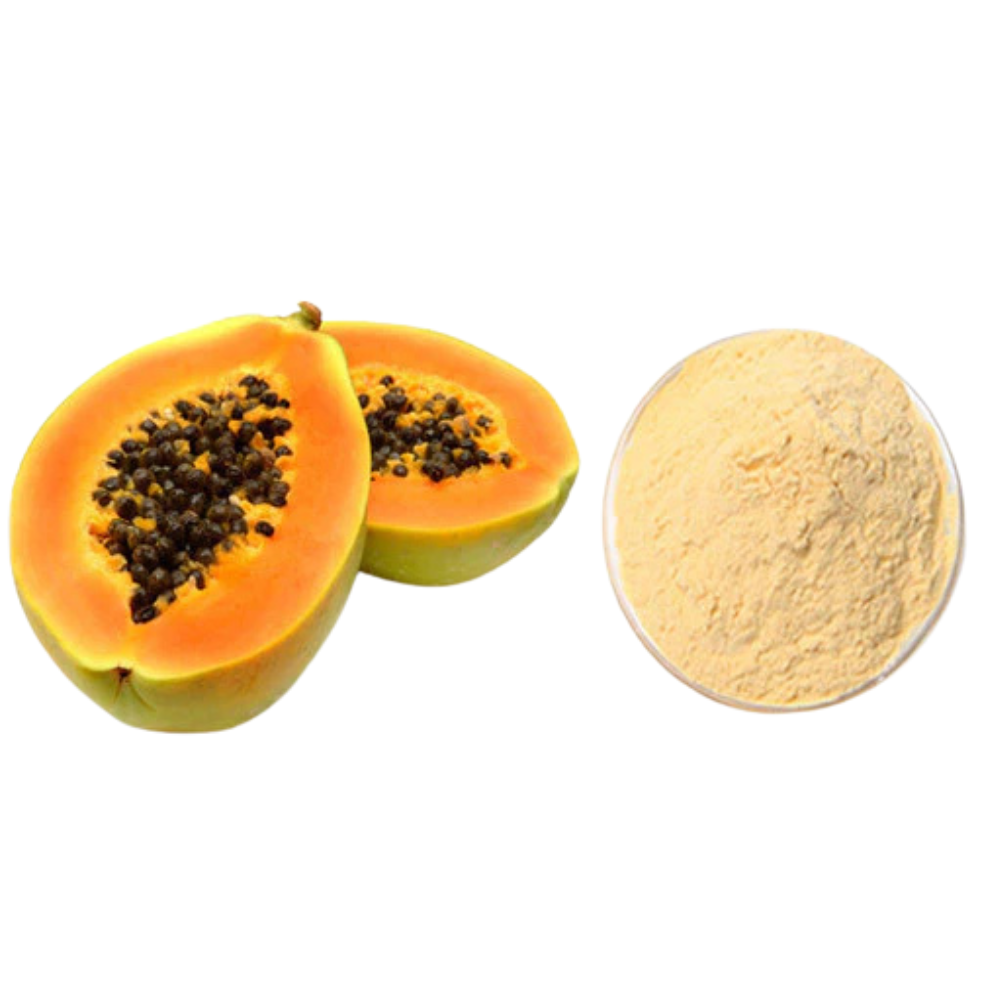 Papaya Powder