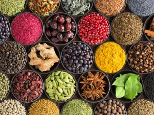 Why Dehydrated Foods Are a Game Changer for Kitchens 