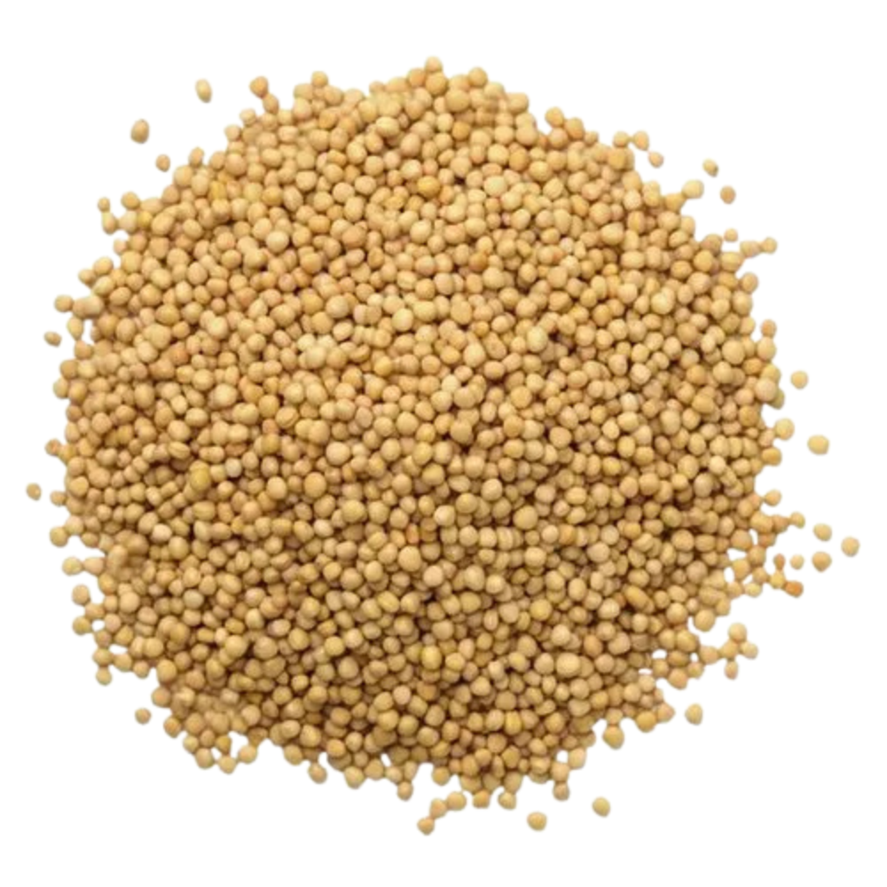 Yellow Mustard Seeds